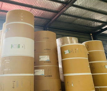 Giấy bìa Ivory 210 gram 250 gram Cuộn giấy tráng PE đơn hoặc đôi